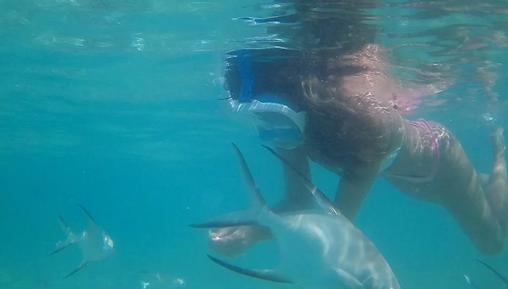 punta cana snorkeling excursion