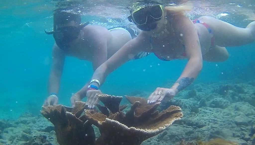 punta cana snorkeling