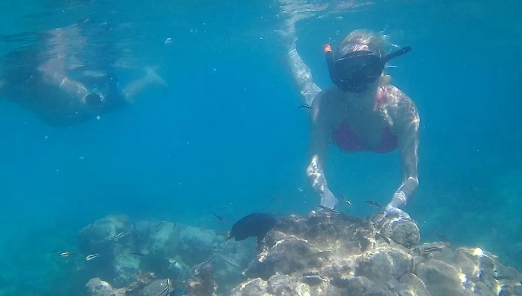 snorkel punta cana