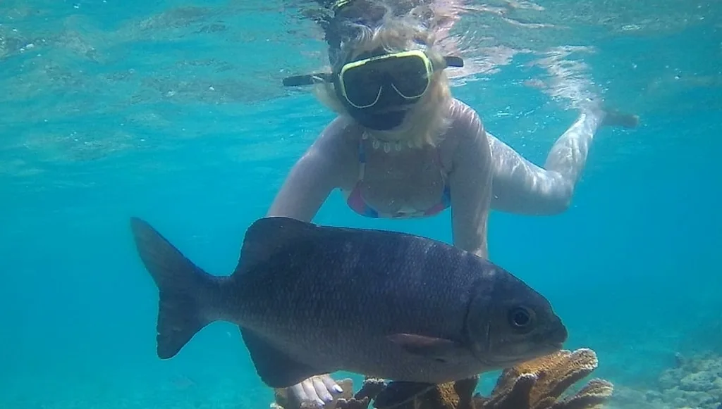 snorkeling punta cana