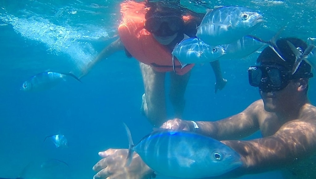 snorkeling tour punta cana