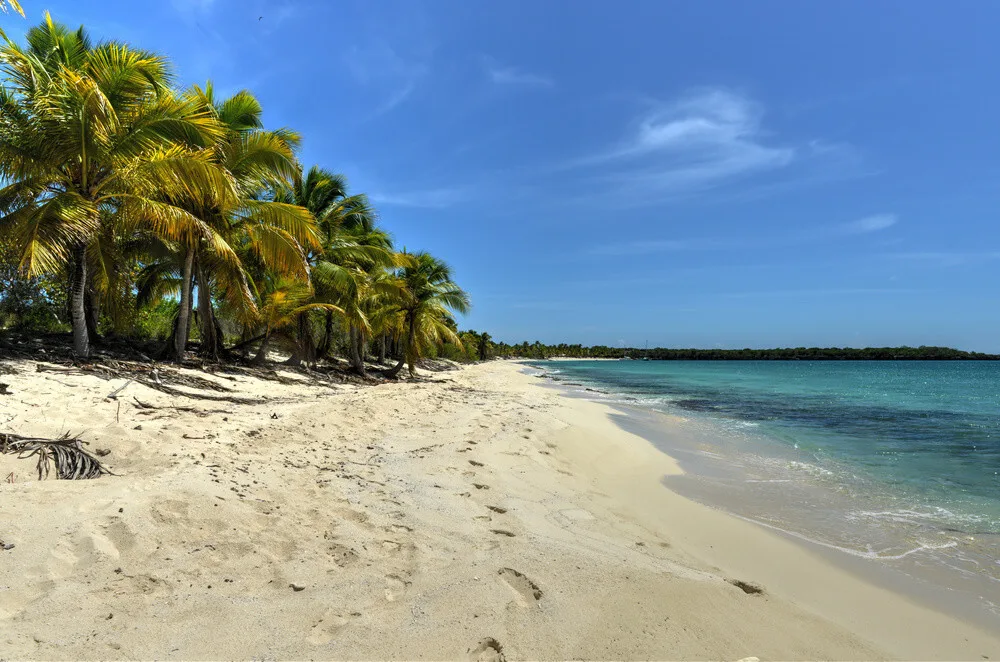 Isla Catalina Beach