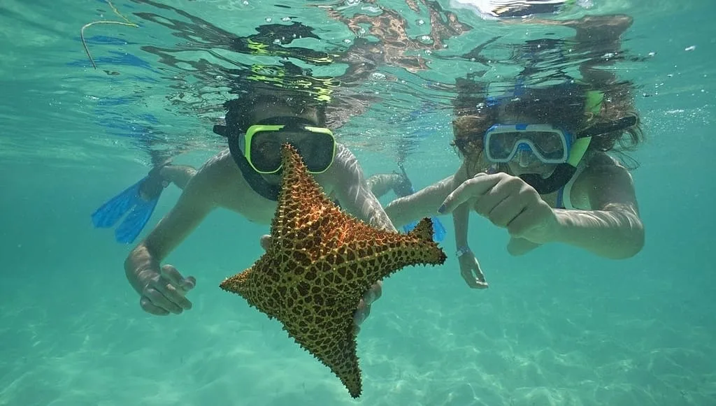 Isla Saona snorkeling