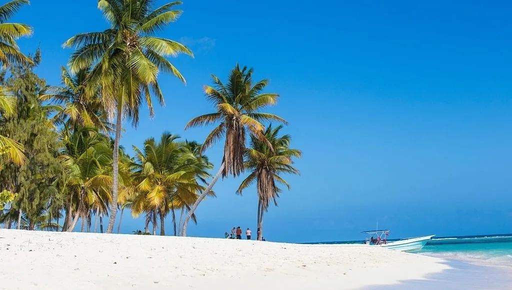 Isla saona playa