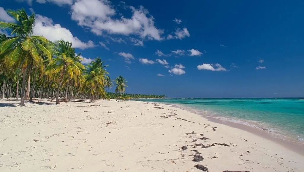 Saona island excursion