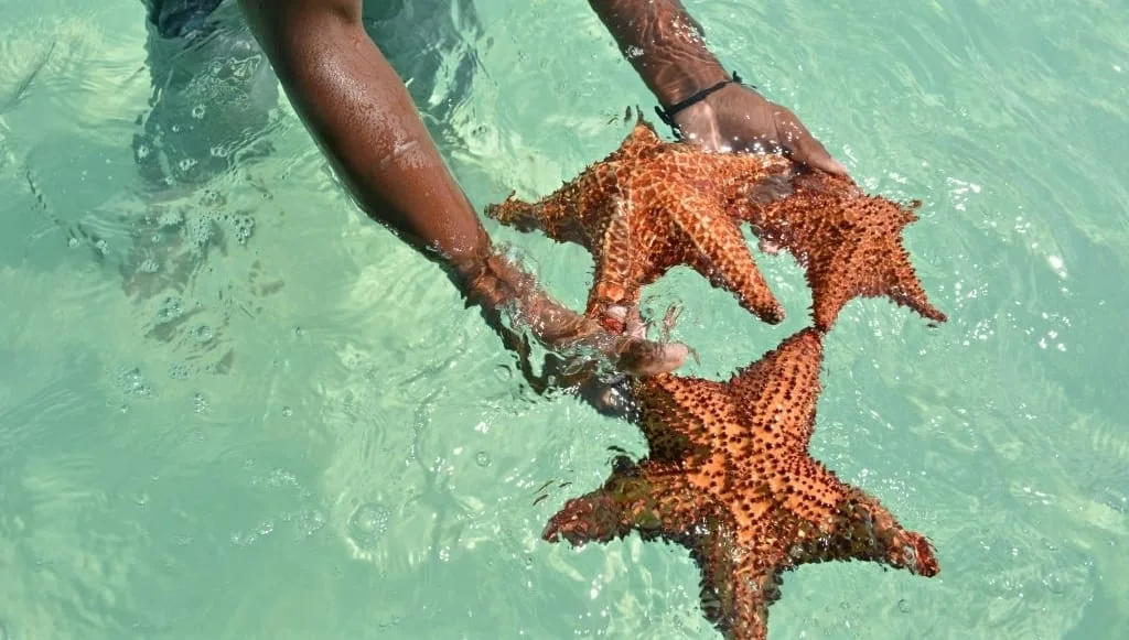 island saona fun