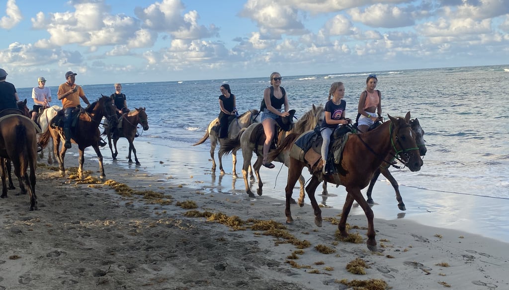 punta cana caribean horses ride