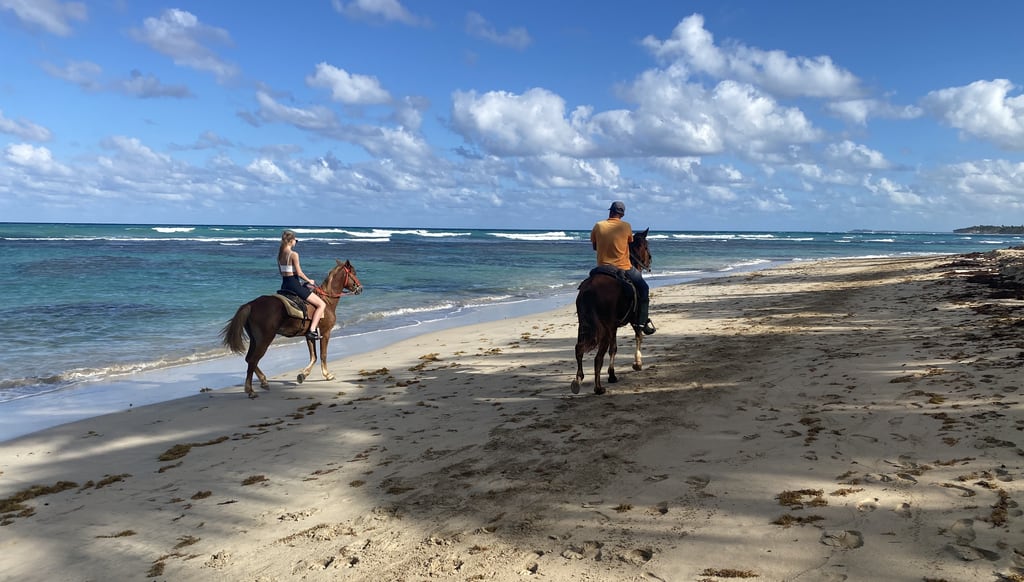 Horseback riding excursion beach