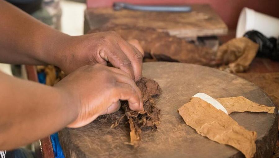 elaboración de tabaco Punta Cana