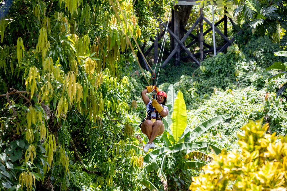 Zip line Samaná