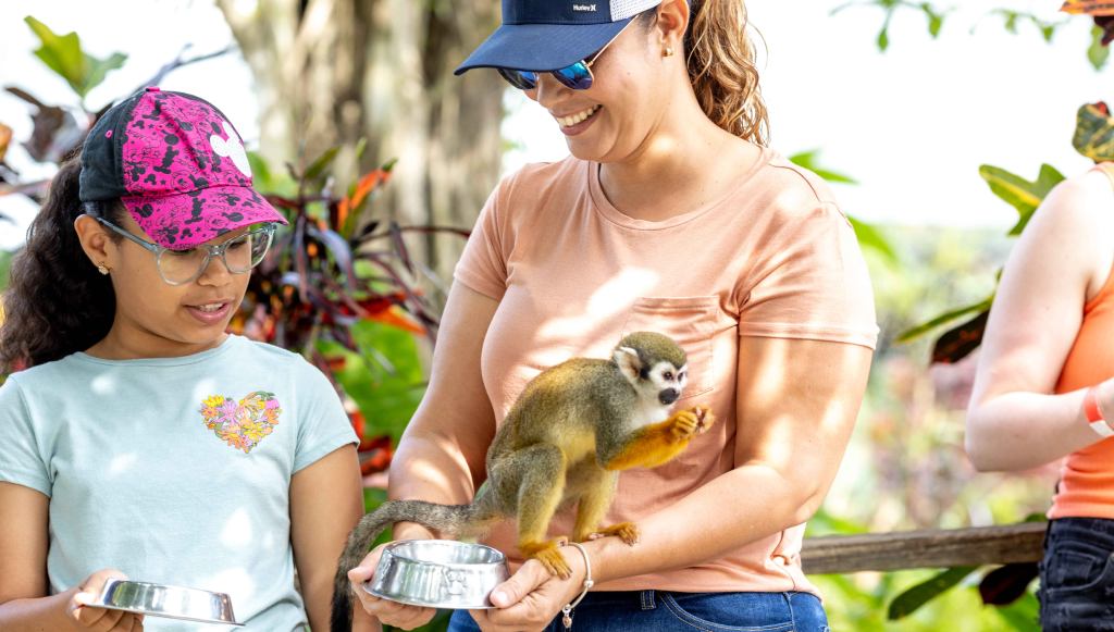 excursion monkeyland in samana