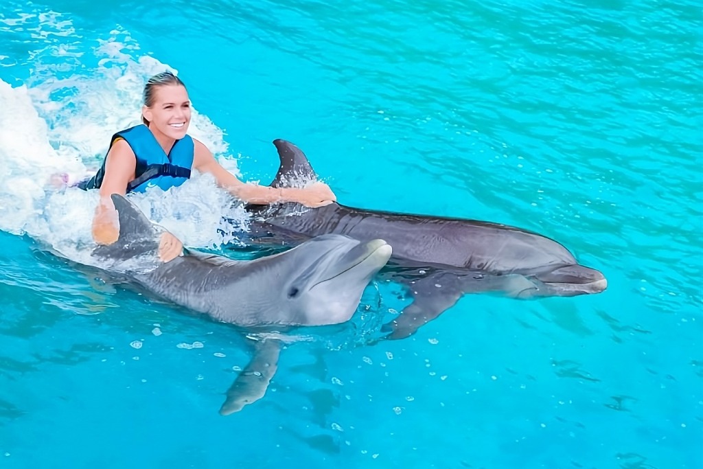 Dolphin Discovery Punta Cana