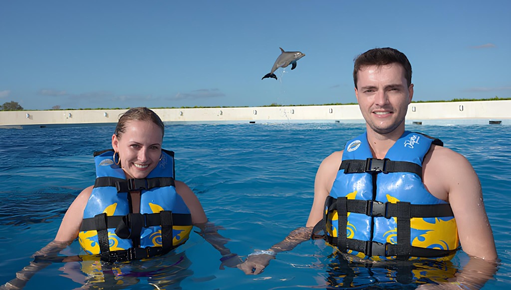 dolphin discovery bavaro