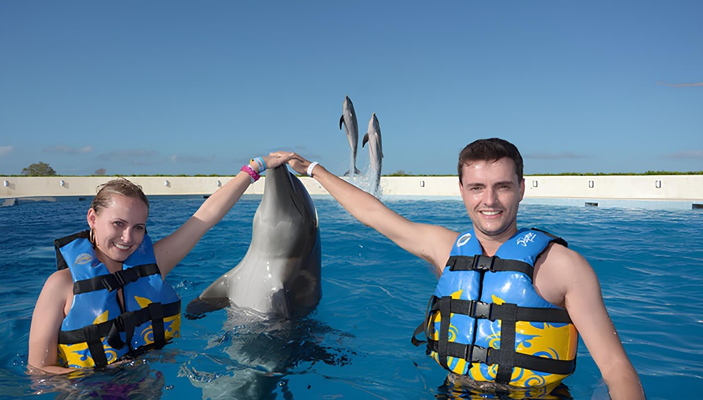 punta cana dolphin discovery