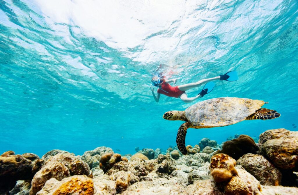 Snorkel en Punta Cana